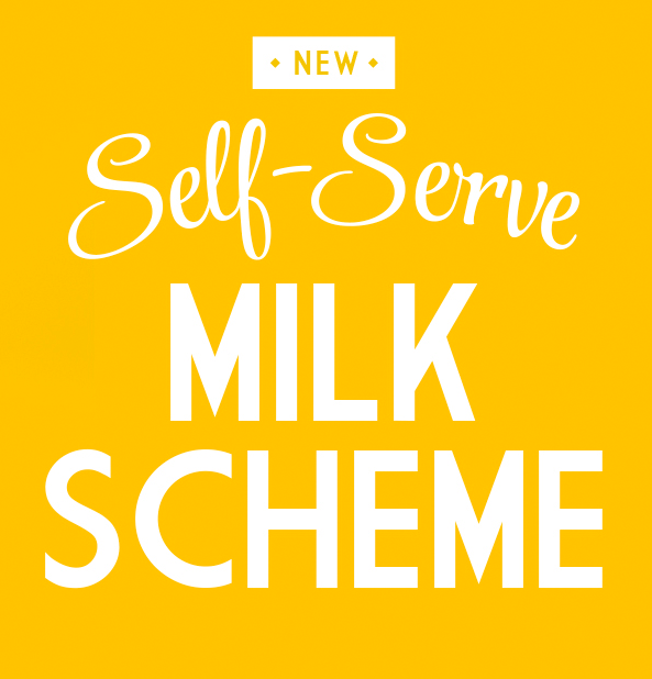self serve milk scheme survey
