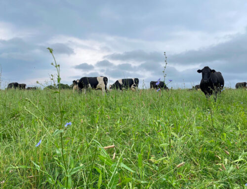 Meet the farmers who are producing milk that is carbon neutral