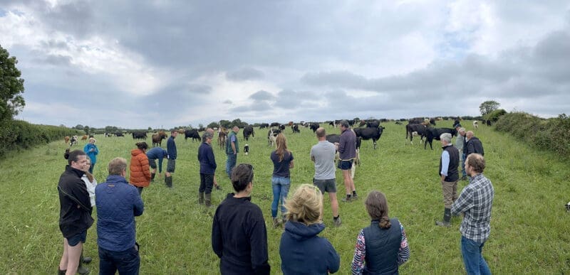 Farmers Who Are Producing Milk That Is Carbon Neutral 2 800x387